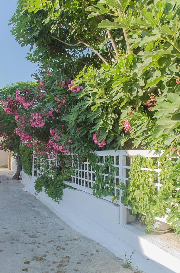 Kalypso Studios & Rooms Палеохора Экстерьер фото